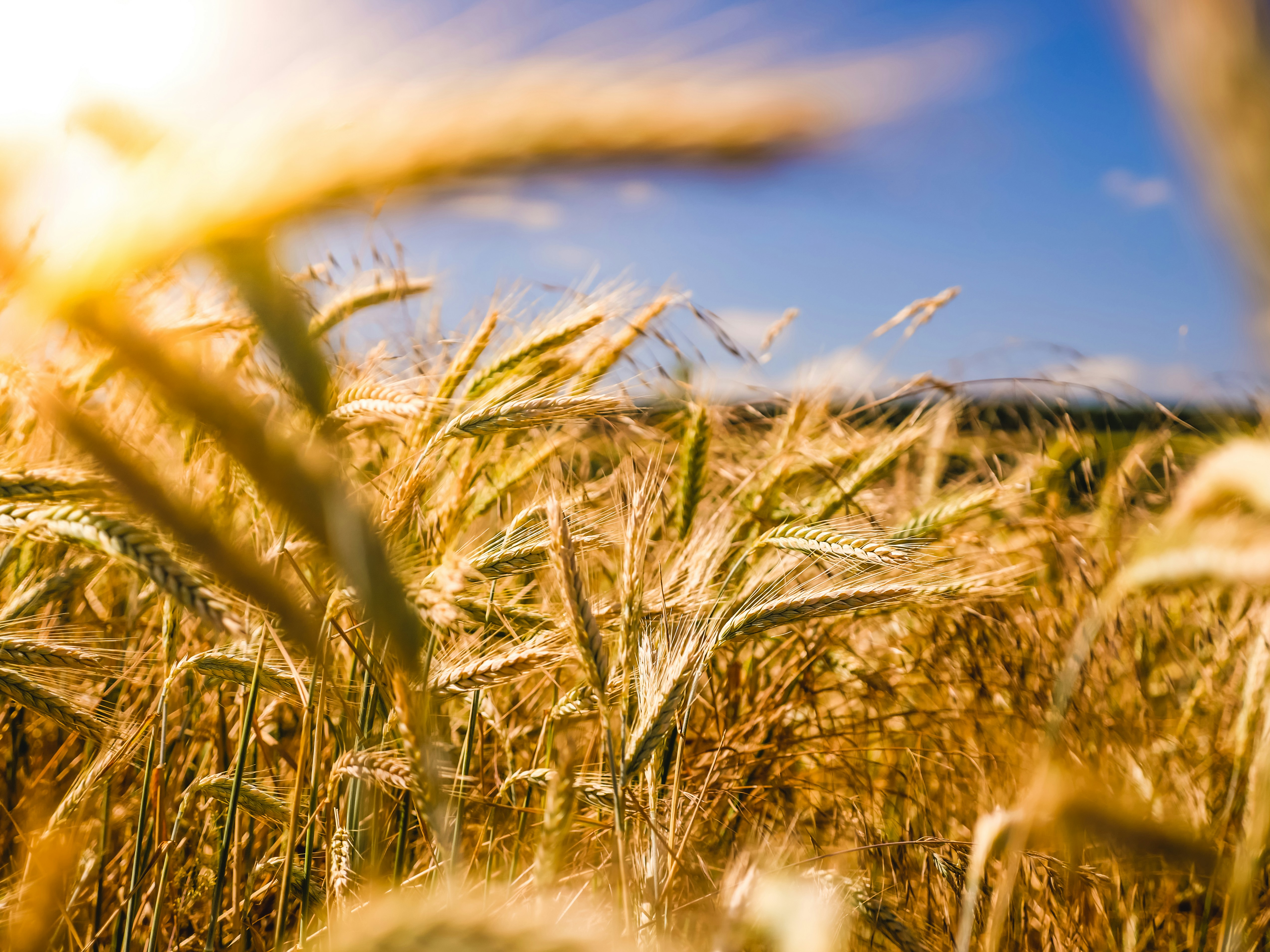 Campos agrícolas y silos de granos